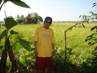 i am here in the bicol... 